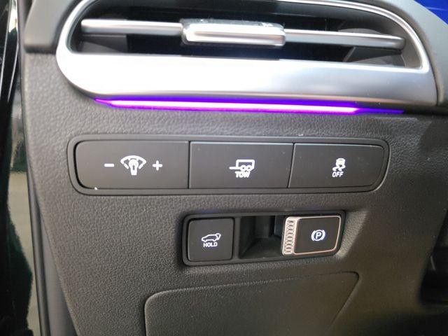 Hyundai Palisade Vehicle Image 10