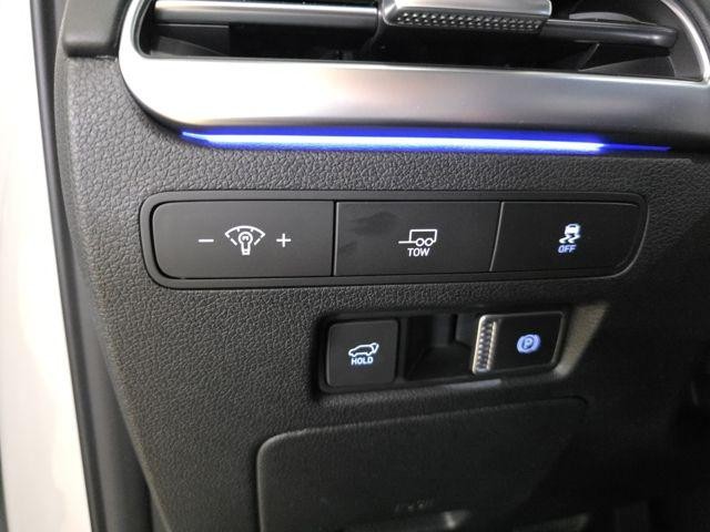 Hyundai Palisade Vehicle Image 10