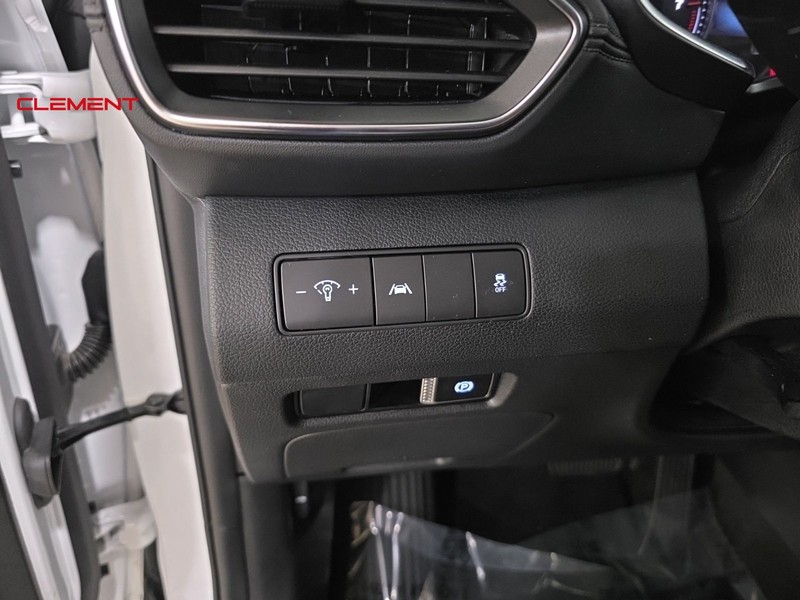Hyundai Santa Fe Vehicle Image 11