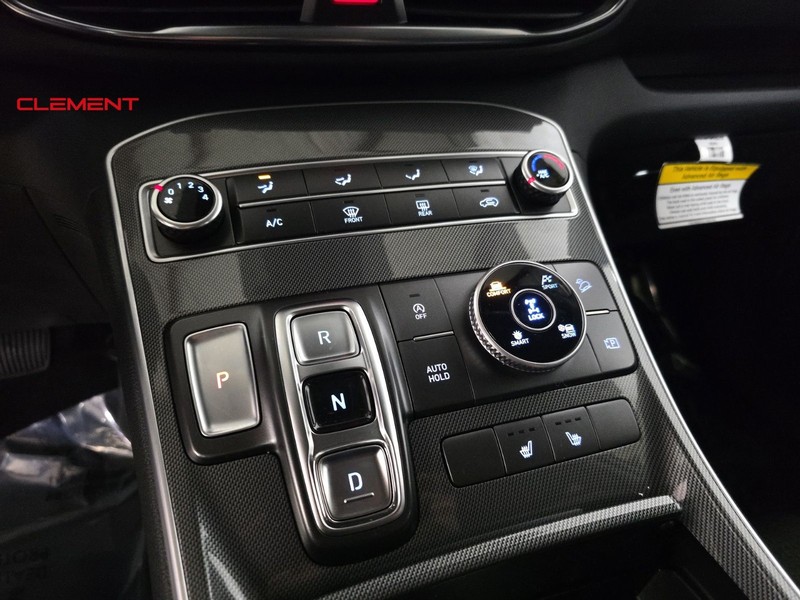 Hyundai Santa Fe Vehicle Image 18