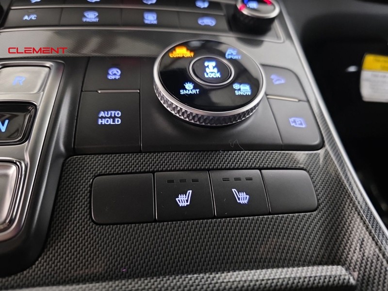 Hyundai Santa Fe Vehicle Image 19
