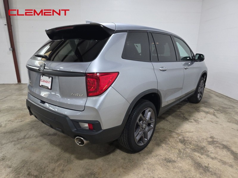 Honda Passport Vehicle Image 06