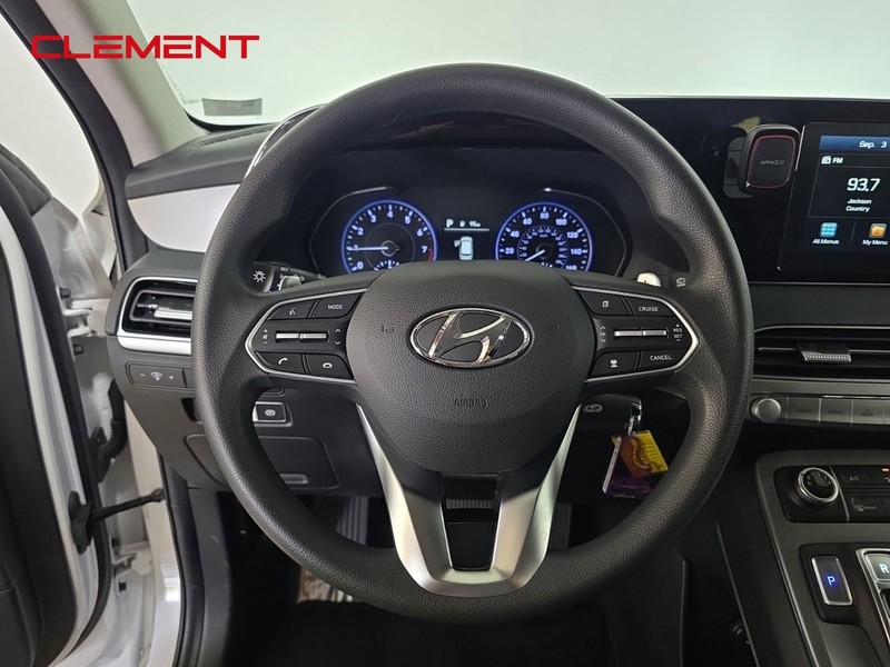 Hyundai Palisade Vehicle Image 12