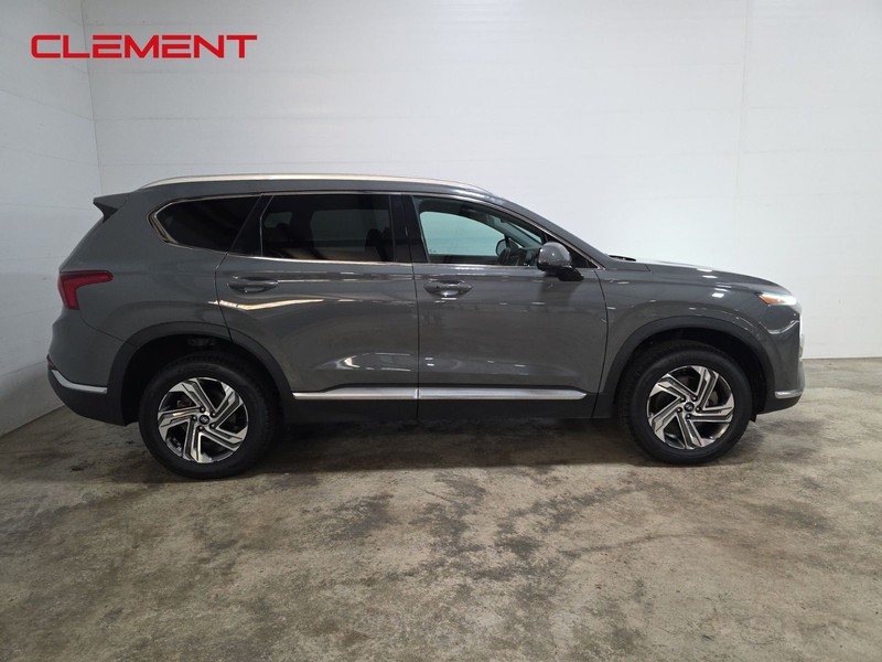 Hyundai Santa Fe Vehicle Image 04
