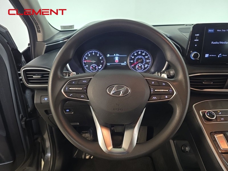 Hyundai Santa Fe Vehicle Image 11