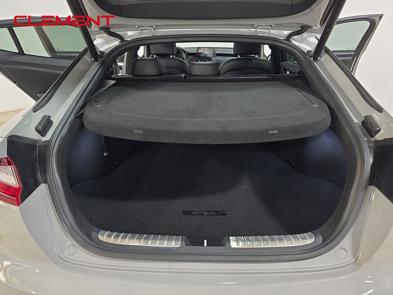 Kia Stinger Vehicle Image 09