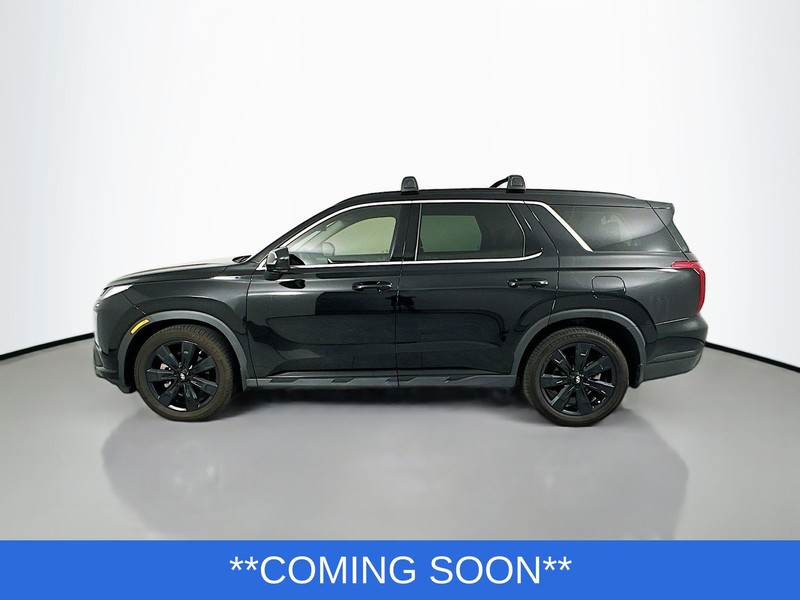 Hyundai Palisade Vehicle Image 04