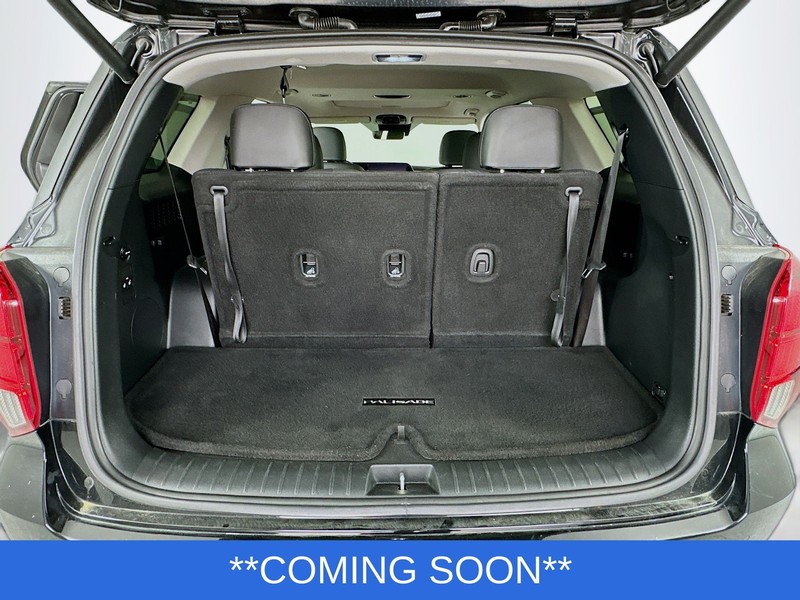 Hyundai Palisade Vehicle Image 08