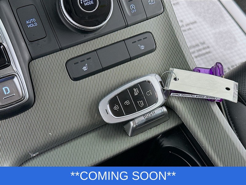 Hyundai Palisade Vehicle Image 19