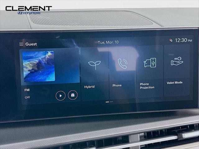 Hyundai Santa Fe Hybrid Vehicle Full-screen Gallery Image 17