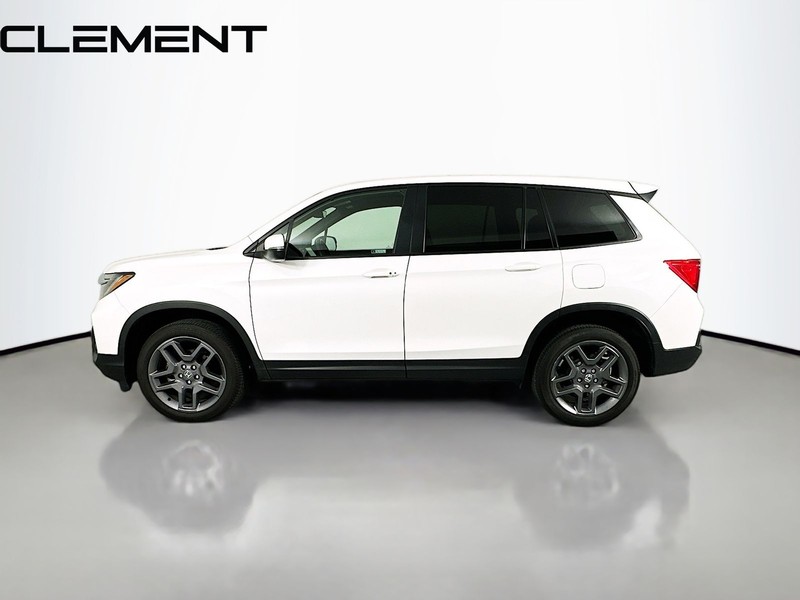 Honda Passport Vehicle Image 06