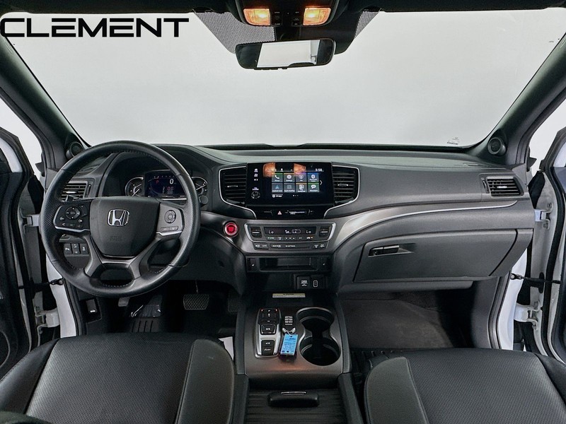 Honda Passport Vehicle Image 12