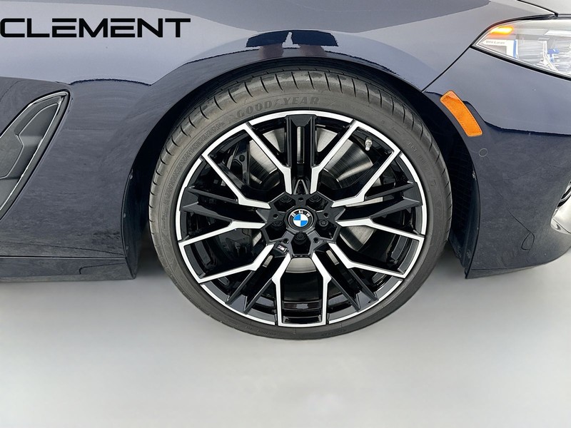BMW 8 Series Vehicle Image 39