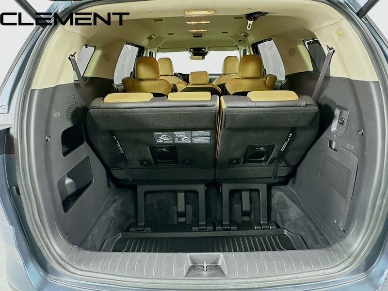 Kia Carnival Vehicle Image 11