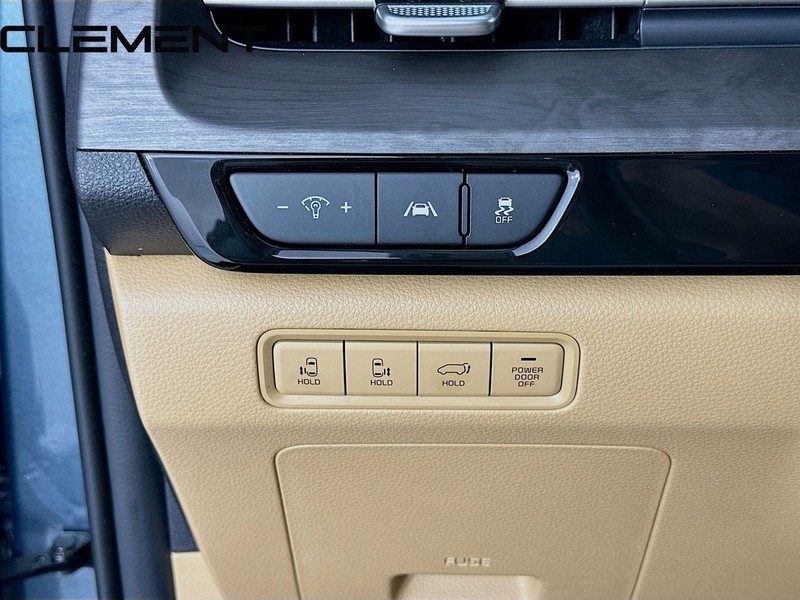 Kia Carnival Vehicle Image 13