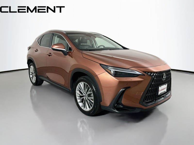 Lexus NX Vehicle Full-screen Gallery Image 5
