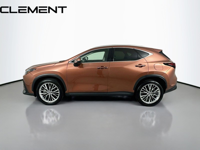 Lexus NX Vehicle Full-screen Gallery Image 6