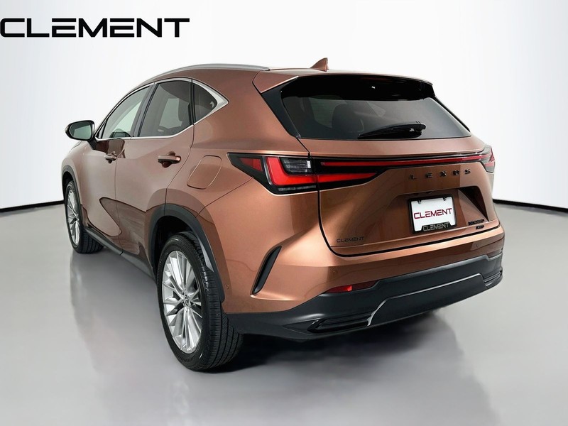 Lexus NX Vehicle Full-screen Gallery Image 10