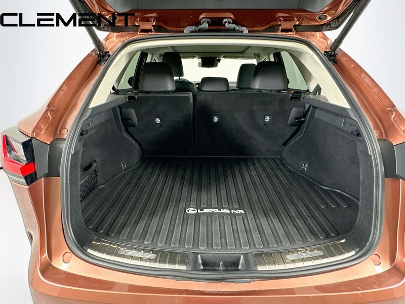 Lexus NX Vehicle Full-screen Gallery Image 11