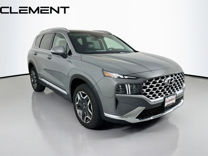 Hyundai Santa Fe Vehicle Image 05