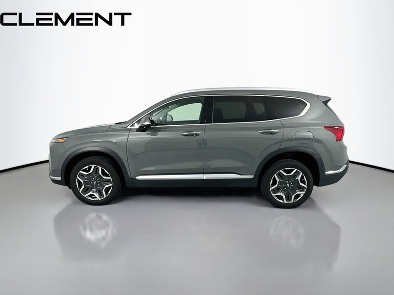 Hyundai Santa Fe Vehicle Image 06