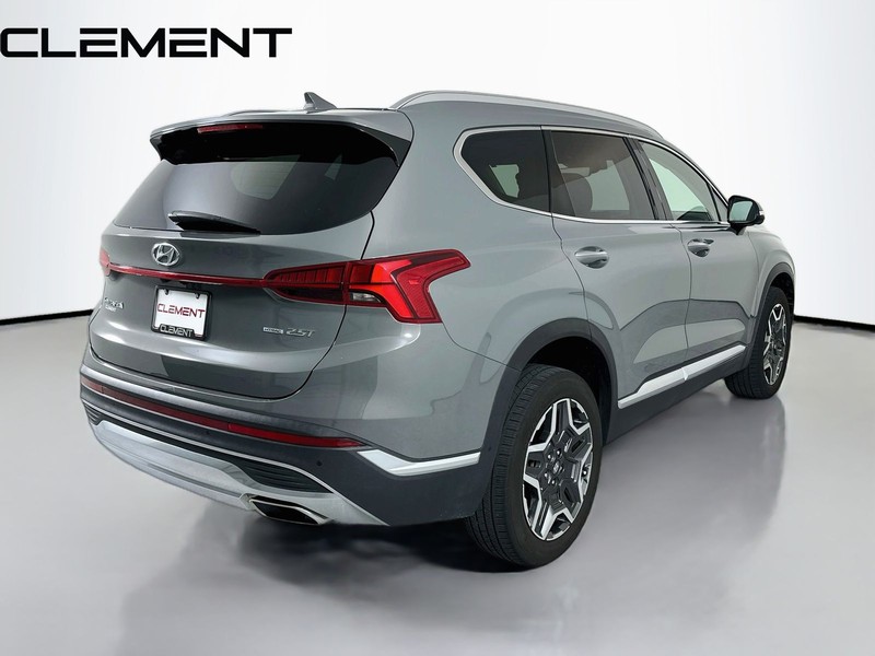 Hyundai Santa Fe Vehicle Image 07