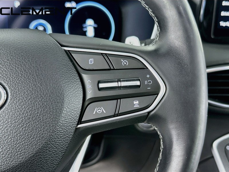 Hyundai Santa Fe Vehicle Image 17