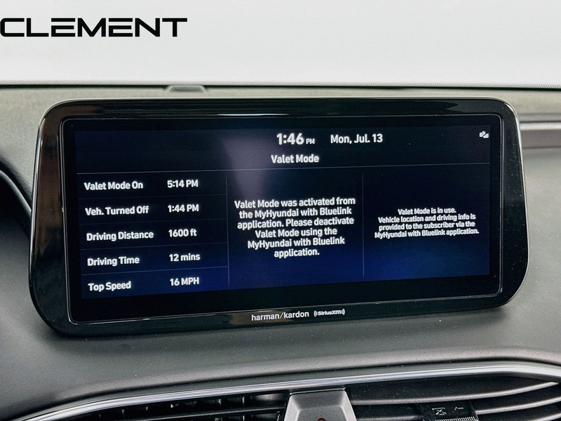 Hyundai Santa Fe Vehicle Image 19