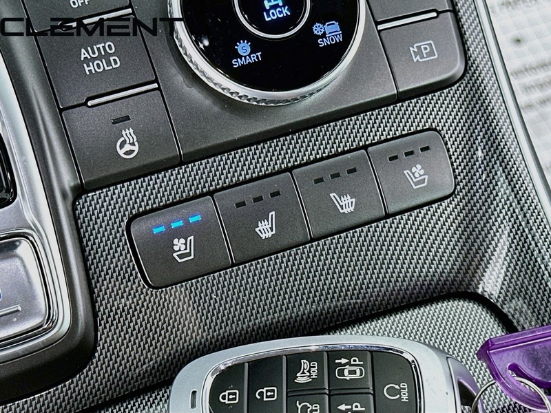 Hyundai Santa Fe Vehicle Image 23