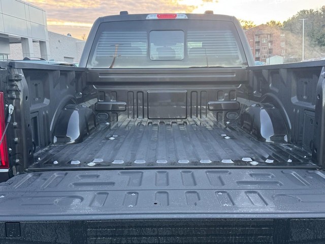 Ford F-150 Vehicle Full-screen Gallery Image 07