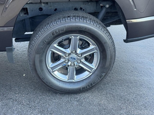 Ford F-150 Vehicle Full-screen Gallery Image 09