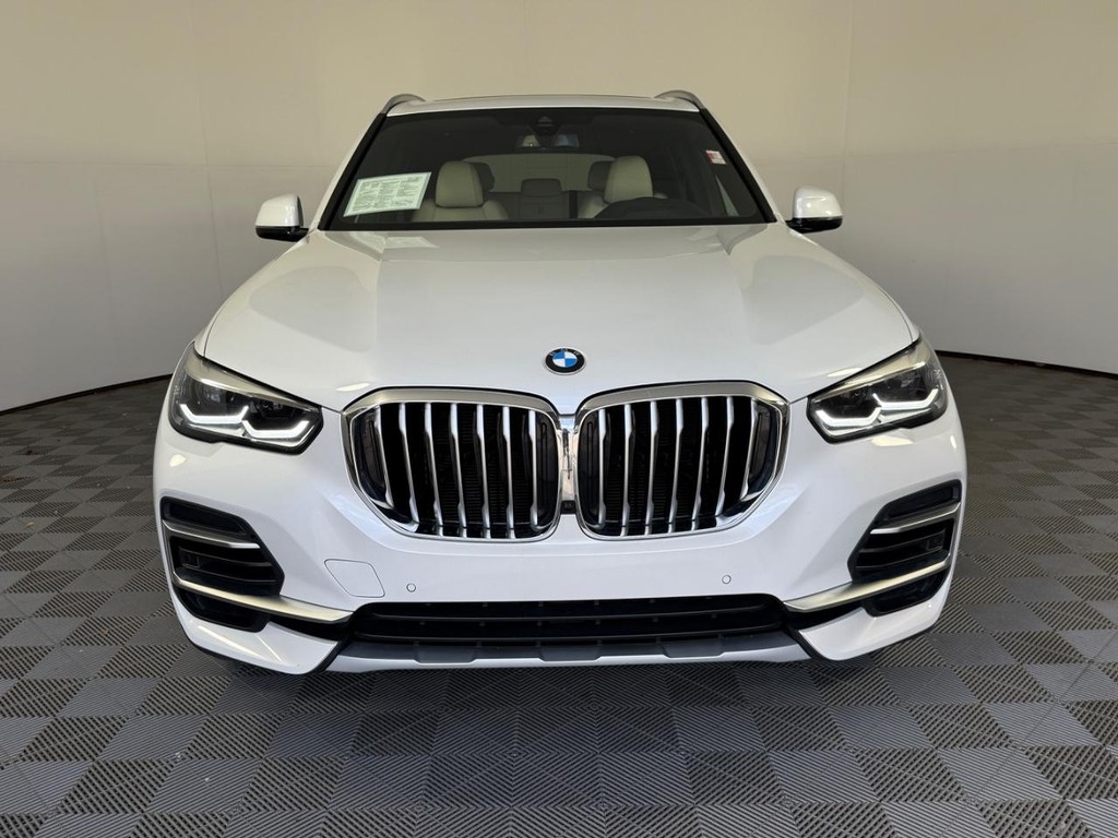 BMW X5 Vehicle Full-screen Gallery Image 10