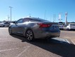 2016 Nissan Maxima 3.5 Platinum thumbnail image 03