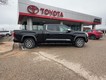 2023 Toyota Tundra 4WD 4WD 1794 Edition CrewMax thumbnail image 06