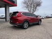 2019 Honda CR-V EX-L thumbnail image 05