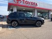 2021 Toyota RAV4 Adventure thumbnail image 06