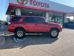 2022 Toyota 4Runner TRD Off Road thumbnail image 06
