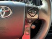 2022 Toyota 4Runner TRD Off Road thumbnail image 20