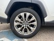 2019 Toyota RAV4 Limited thumbnail image 07