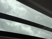 2019 Toyota RAV4 XLE thumbnail image 14