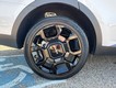 2024 Kia Sorento X-Line SX thumbnail image 07