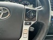 2023 Toyota 4Runner Limited thumbnail image 22