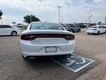 2023 Dodge Charger SXT thumbnail image 04