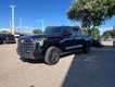 2023 Toyota Tundra 4WD 4WD Platinum CrewMax thumbnail image 02
