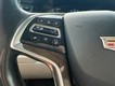 2018 Cadillac Escalade Premium Luxury thumbnail image 23