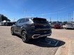 2023 Kia Sportage Hybrid EX thumbnail image 03