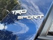 2022 Toyota 4Runner TRD Sport thumbnail image 09