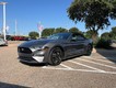 2023 Ford Mustang EcoBoost thumbnail image 02
