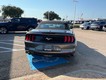 2023 Ford Mustang EcoBoost thumbnail image 04