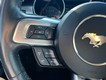 2023 Ford Mustang EcoBoost thumbnail image 15
